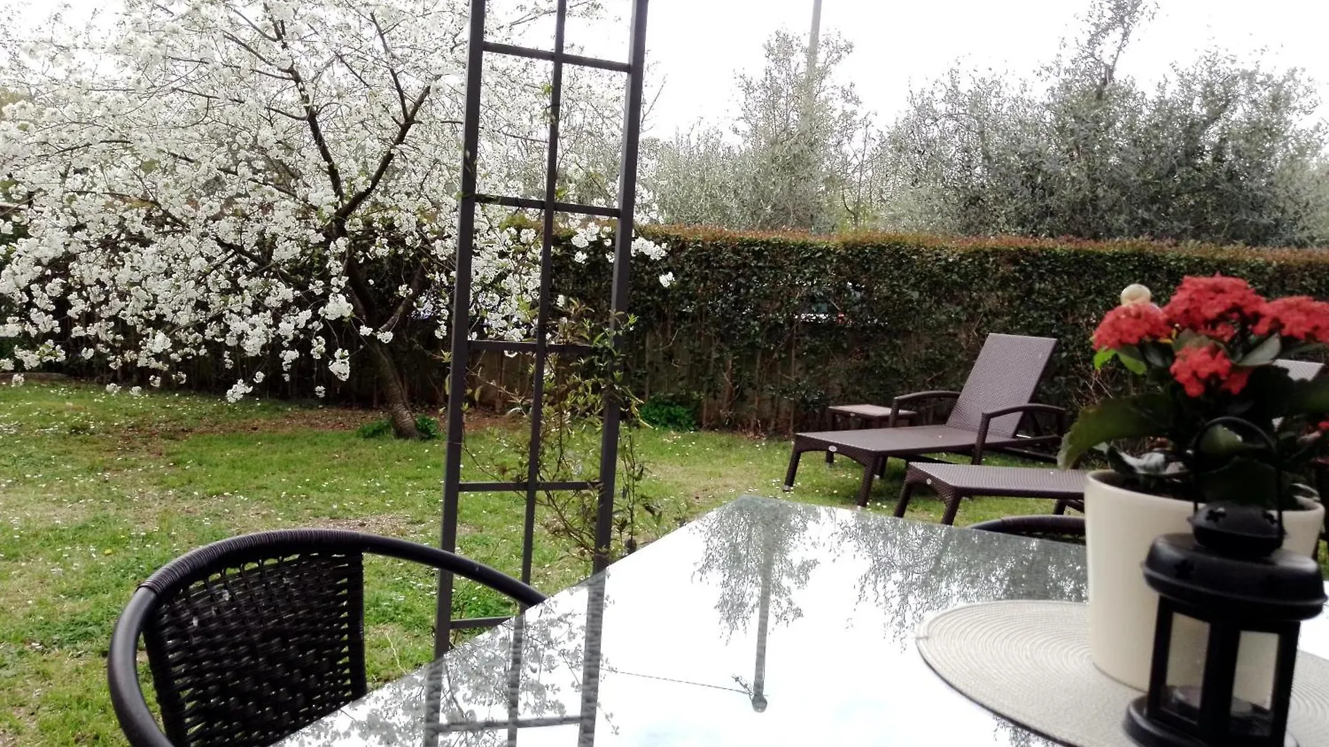 Apartmani Irena Arvaj Porec 0*,  Croatia