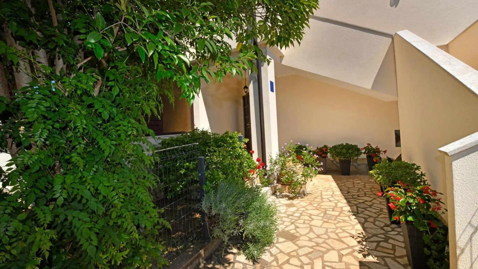 Apartmani Irena Arvaj Poreč Chorwacja